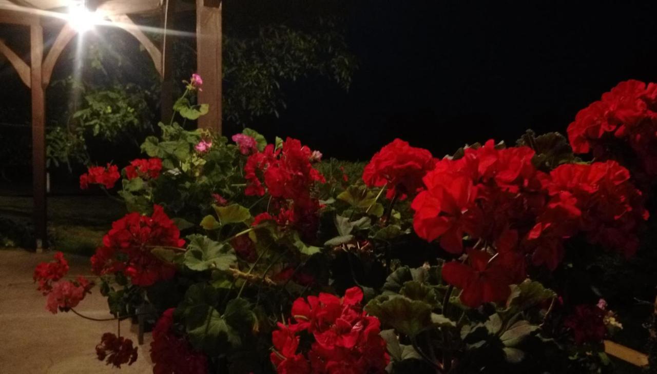 Pokoje Goscinne Gazda Bad Altheide Exterior foto