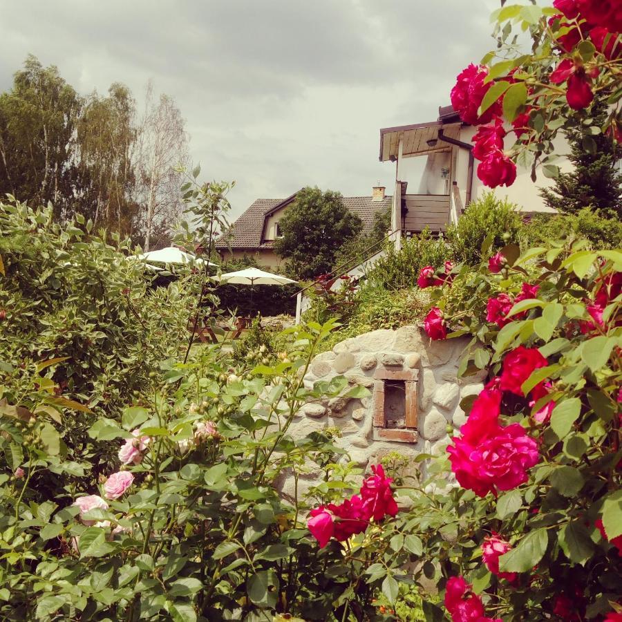 Pokoje Goscinne Gazda Bad Altheide Exterior foto